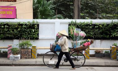 Sinh viên biến bãi rác thành vườn hoa tuyệt đẹp ở Hà Nội - 12