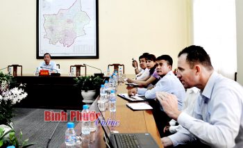 nhadautu10032017094511