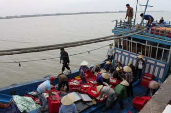 Trung Quốc cấm đánh cá Biển Đông, ngư dân Thanh Hóa cứ ra biển 