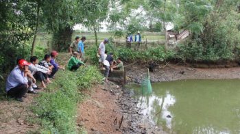 Dùng dao mổ heo đâm chết người rồi cố thủ trên nóc nhà 