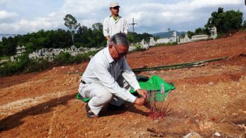 Vụ mộ vợ vua Tự Đức bị san ủi: 'Đơn vị thi công đã sai' 