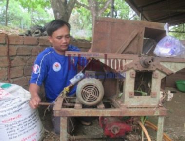 Anh Nguyễn Văn Ngọc thái cỏ cho bò ăn