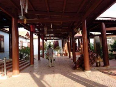 Gỗ rừng chảy về nhà quan - ảnh 2