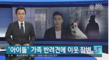 SBS cong bo clip vu cho cua Si Won can chet nguoi: Noi doi va canh bao hinh anh 3