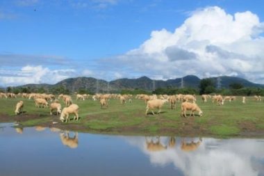 Bất ngờ với Mông Cổ thu nhỏ đẹp hoang sơ ngay tại Việt Nam
