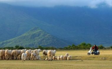 Bất ngờ với Mông Cổ thu nhỏ đẹp hoang sơ ngay tại Việt Nam