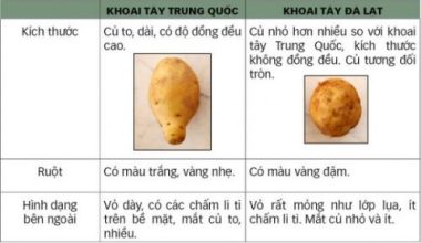 Thâm nhập “xưởng” làm giả khoai tây Trung Quốc thành Đà Lạt - Ảnh 4.