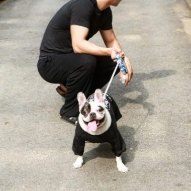 SBS cong bo clip vu cho cua Si Won can chet nguoi: Noi doi va canh bao hinh anh 2