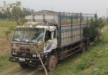 5-oto-dam-lien-hoan-o-duong-tranh-thanh-pho-vinh-1