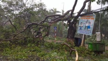 Trực tiếp: Bão số 12 đang càn quét Ninh Hòa, Nha Trang - ảnh 14