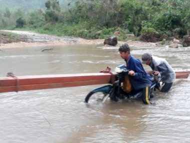 Ngang nhiên phá rừng phòng hộ bán gỗ làm bè nuôi tôm - Ảnh 3.