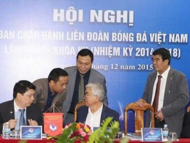 VFF sai luật hay không biết luật? - ảnh 1