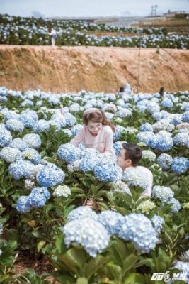 Anh cuoi tuyet dep giua vuon hoa cam tu cau cua cap doi Binh Phuoc hinh anh 4