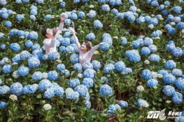 Anh cuoi tuyet dep giua vuon hoa cam tu cau cua cap doi Binh Phuoc hinh anh 7