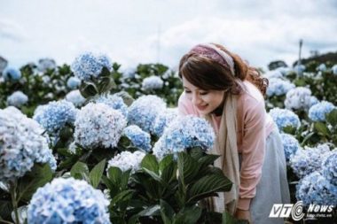 Anh cuoi tuyet dep giua vuon hoa cam tu cau cua cap doi Binh Phuoc hinh anh 5