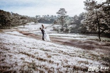 Anh cuoi tuyet dep giua vuon hoa cam tu cau cua cap doi Binh Phuoc hinh anh 12