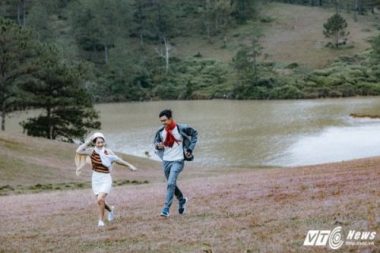 Anh cuoi tuyet dep giua vuon hoa cam tu cau cua cap doi Binh Phuoc hinh anh 18
