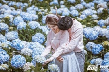 Anh cuoi tuyet dep giua vuon hoa cam tu cau cua cap doi Binh Phuoc hinh anh 9