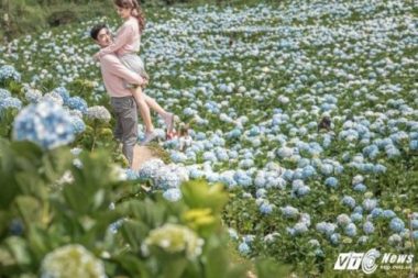 Anh cuoi tuyet dep giua vuon hoa cam tu cau cua cap doi Binh Phuoc hinh anh 10