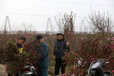 Cáº£nh sáº¯c ngÃ y xuÃ¢n á» Äáº¥t ÄÃ o ná»i tiáº¿ng nháº¥t HÃ  Ná»i - áº¢nh 5.