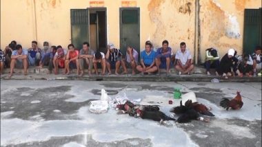 Công an huyện nói gì về thông tin con trai Phó Bí thư Tỉnh ủy đá gà, đánh bạc? - Ảnh 2. Công an huyện nói gì về thông tin con trai Phó Bí thư Tỉnh ủy đá gà, đánh bạc? - Ảnh 2.