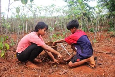 XÃ³t lÃ²ng hai chá» em má» cÃ´i Än lÃ¡ mÃ¬, vÆ°á»£t khÃ³ Äáº¿n trÆ°á»ng - 3