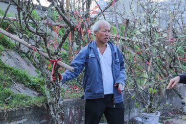 anh: hoa le rung tay bac tien trieu hut nguoi choi sau tet hinh anh 3