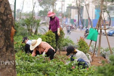 duong pho ha noi trang hoang chao don hoi nghi thuong dinh my-trieu hinh anh 7