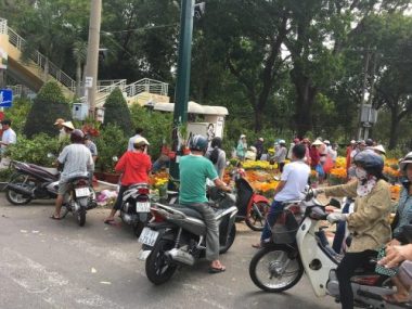 nguoi dan do xo di mua hoa “dai ha gia” sang 30 tet hinh anh 10