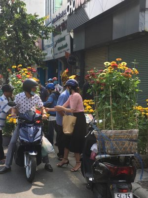 nguoi dan do xo di mua hoa “dai ha gia” sang 30 tet hinh anh 3