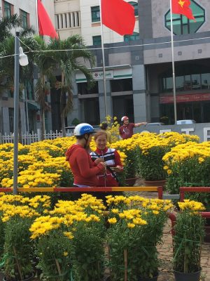 nguoi dan do xo di mua hoa “dai ha gia” sang 30 tet hinh anh 4