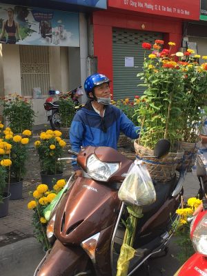 nguoi dan do xo di mua hoa “dai ha gia” sang 30 tet hinh anh 5