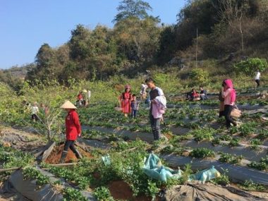 son la: san sang cho le hoi khinh khi cau quoc te tai moc chau hinh anh 3