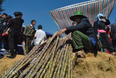 ron ra le hoi gau tao - le hoi lon nhat cua nguoi mong o lao cai hinh anh 9