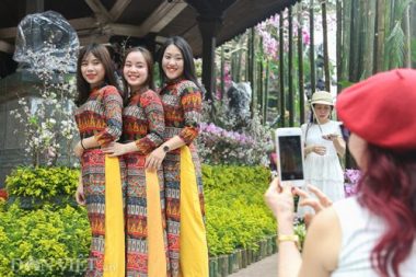 anh: nguoi ha noi xung xinh kimono do xo den du le hoi hoa anh dao hinh anh 8