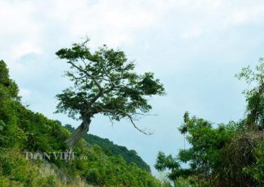 nam du -  thien duong "song ao" cua gioi tre hinh anh 7