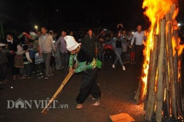 bi an le cung rung cua nguoi mong o khu bao ton thien nhien na hau hinh anh 12