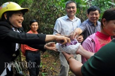 bi an le cung rung cua nguoi mong o khu bao ton thien nhien na hau hinh anh 7