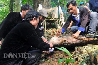 bi an le cung rung cua nguoi mong o khu bao ton thien nhien na hau hinh anh 8