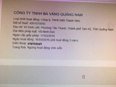 ong chu ba vang quang nam co quan he the nao voi dai duc thich truc thai minh? hinh anh 4