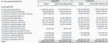 sau ipo, vinafood 2 van “vung vay” trong vong xoay no nan hinh anh 2