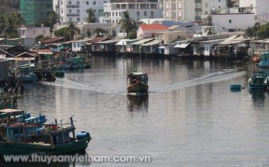 kien giang: "pha huy thien duong chi can vai nguoi ngu ngoc" hinh anh 2