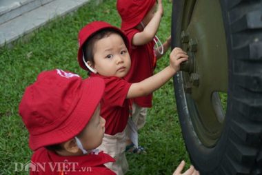 anh: bao vat quoc gia gop phan lam nen chien thang dien bien phu hinh anh 9