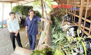 chuyen chua tung co: lung suc mua de kieu lon, be deu 