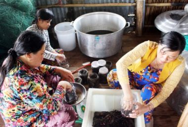 ca mau: muon nghe gac keo ong, muoi ba khia la di san phi vat the hinh anh 2