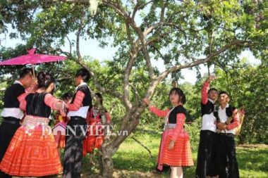 moc chau: ngay hoi hai qua 2019 dien ra o thung lung na ka hinh anh 4