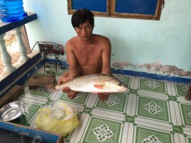 khanh hoa: di bien, bat ngo bat duoc ca la nghi su vang 3kg cuc hiem hinh anh 2