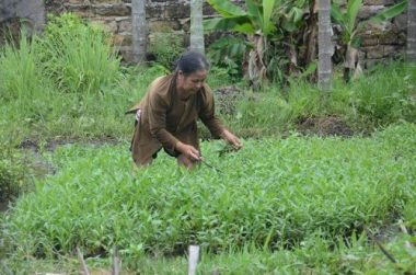 Chuyá»n láº¡: XÃ³t thÆ°Æ¡ng ngÆ°á»i máº¹ nghÃ¨o Äáº¿n báº¥t lá»±c khÃ´ng dÃ¡m nháº­n 40 triá»u Äá»ng - 15