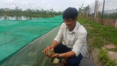 "mac man" nuoi ech nhung nhuc duoi ao, bo tui ca tram trieu/nam hinh anh 1