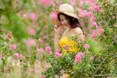 anh: thieu nu e ap ben sac hong hoa tuong vi hinh anh 3
